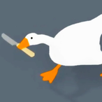 GooseWithKnife's Avatar'