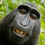 t0dd.'s Avatar'
