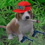 loldeaduser's Avatar'