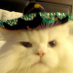 EL_Mencho1's Avatar'