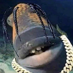 BigArchEnjoyer's Avatar'