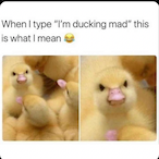 a wet weiny's Avatar'