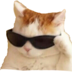 CatbotNo1's Avatar'