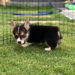 BreadWiseguy's Avatar