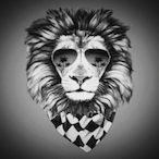 shadowhz's Avatar'