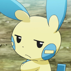 saill_n's Avatar'