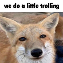 MMWMMWMMMMMWMMM