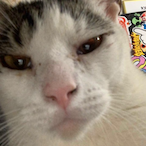 chugjug's Avatar'