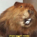 BEAVERBUNTER69's Avatar'