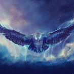 Aedifex's Avatar'
