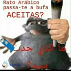 fpespalhalixo's Avatar'