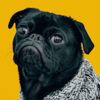 SMORETTI10's Avatar'