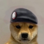 Rac_Raccoon's Avatar'