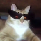 Stormageddeon's Avatar'
