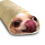 pauliedlc's Avatar'