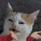 SukiyaKee's Avatar'