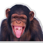 return ush's Avatar'