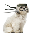 Brorandy's Avatar'