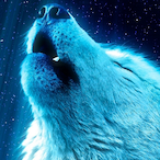 omar_krasnici's Avatar'
