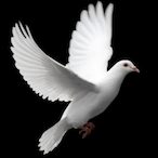 galloway2839's Avatar'