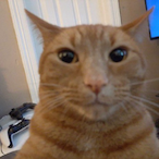 C00lest_dude's Avatar'
