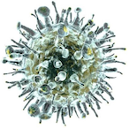 MarinoMercato-.'s Avatar'