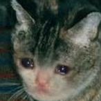 PrincessRubyyy's Avatar