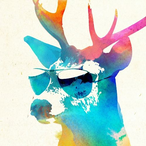 DrakeFireV's Avatar'