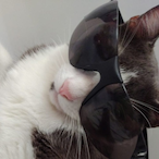 StrikeTheMonster's Avatar'