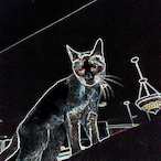 r6boss2026's Avatar'