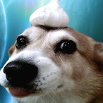 MrDrProfKevinMD's Avatar'