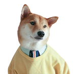 iPxxYz's Avatar'