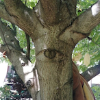 tt khjlnback's Avatar'