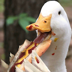 Michui.ENTE's Avatar'