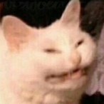 Tanner_Got_Toes's Avatar'