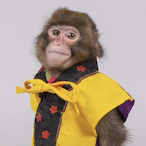 bobfan67's Avatar'