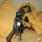 Camper1205's Avatar'