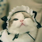 O_Ore's Avatar'