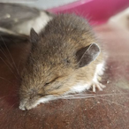 moreTRTluv's Avatar'