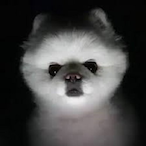 Do_bi's Avatar'