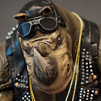 R0CK_STE4DY's Avatar'