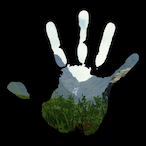 AvecToiToujours's Avatar'