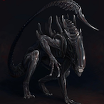 DarknessFelt's Avatar'