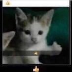 sabbinopr's Avatar'