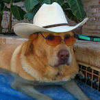 www.nerd.gov's Avatar'
