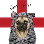 Pugsader's Avatar'