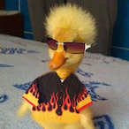 TheOzdiShinter's Avatar'