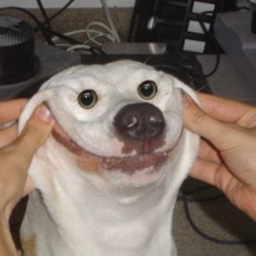 UrkenZAO