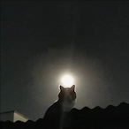 furious_doc's Avatar'