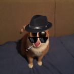 Mackan_Laxen's Avatar'